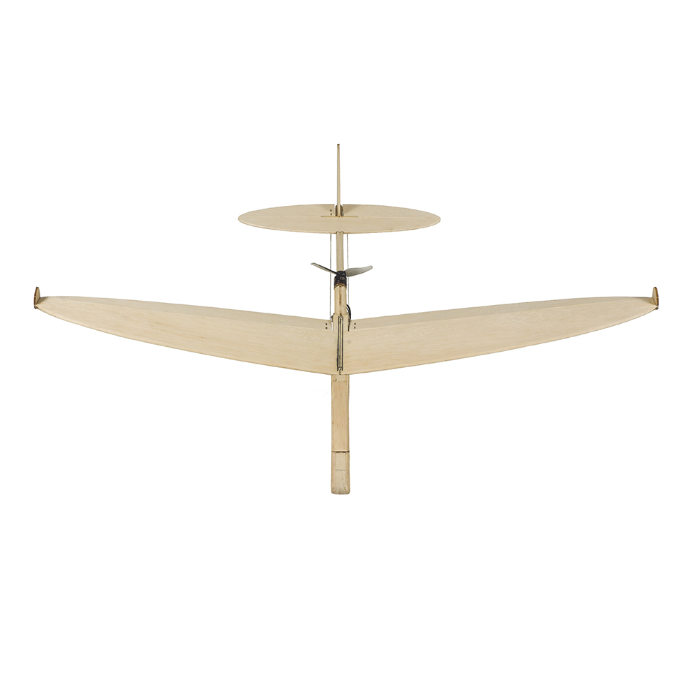 RC Uçak Modeli Lazer Kesim Bal - Model Kit Plane incelemesi ve fiyatı
